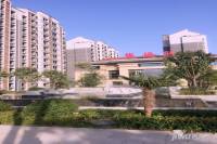 紫都唐府实景图4