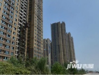 白桦林印象实景图1