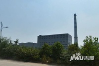 白桦林印象实景图1