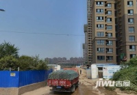 白桦林印象实景图1